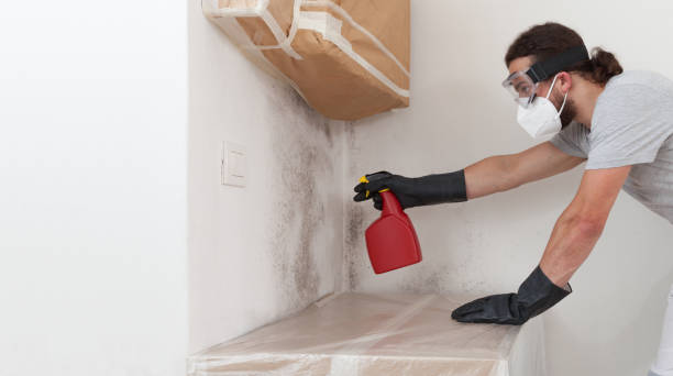 Professional Mold Inspection And Testing technician working in Mountainside, NJ